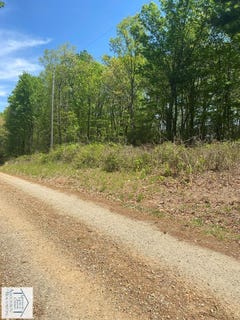 /international/us/timber-run-dr-lot-12-woolwine-va-110098939359/