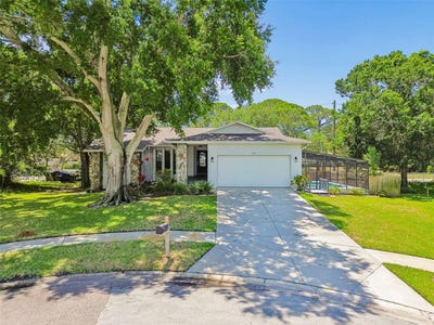 /international/us/1421-ironworks-lane-tarpon-springs-fl-110108145425/