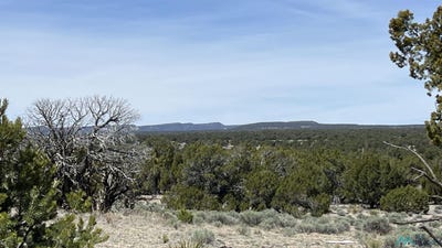 /international/us/59-solano-road-pie-town-nm-110107722333/