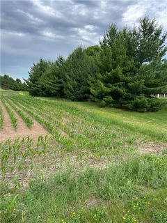 /international/us/2186-132nd-street-star-prairie-wi-110100479424/?lang=zh-tw