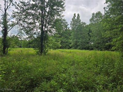 /international/us/vl-parsons-road-grafton-oh-110101051016/?lang=zh-tw
