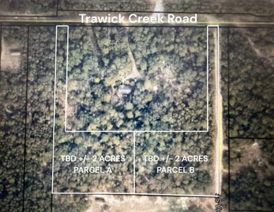 /international/us/parcel-a-2-ac-trawick-creek-road-holt-fl-110105110036/