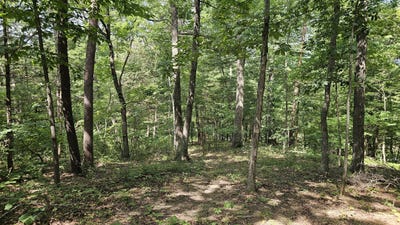 /international/us/5-3-acres-gravel-ln-lexington-va-110101150477/?lang=zh-cn