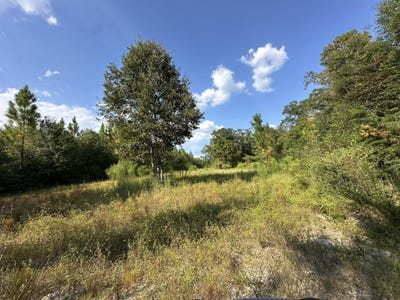 /international/us/a-b-c-new-ebenezer-road-laurel-hill-fl-110106308422/