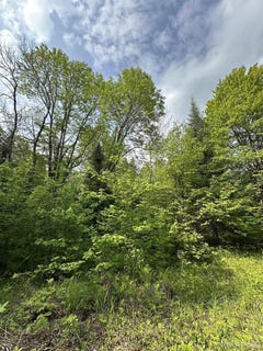 /international/us/5563-calderwood-trout-creek-mi-110100119845/?lang=zh-tw