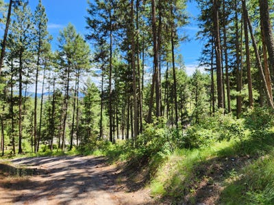 /international/us/tbd-klondike-rd-republic-wa-110100746079/