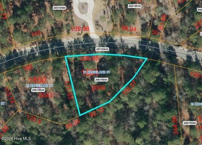 /international/us/21-ridgeland-street-lot-1851-pinehurst-nc-110120026862/