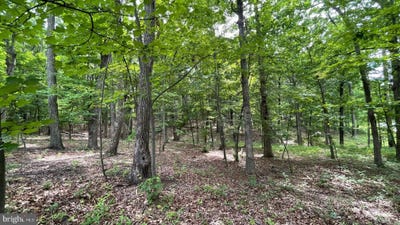 /international/us/bristol-springs-way-lot-61-slanesville-wv-110108437850/