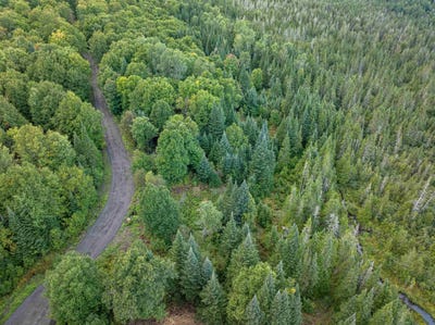 /international/us/wood-yard-crossing-lot-4-pittsburg-nh-110120485022/