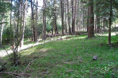 /international/us/tram-ln-wallowalake-or-110101498727/