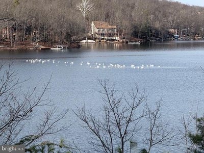 /international/us/southwood-dr-lake-front-cross-junction-va-110106240854/