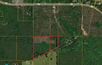 /international/us/hunter-road-coushatta-la-110105203464/