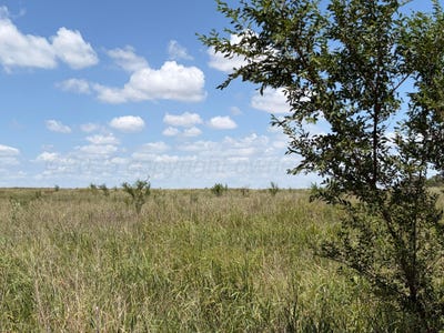 /international/us/state-highway-203-wellington-tx-110119413674/