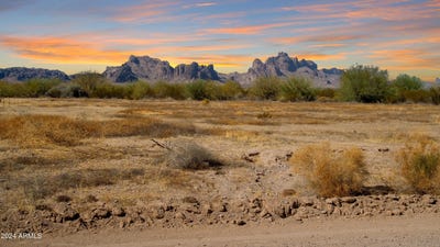 /international/us/7770-s-543rd-avenue-tonopah-az-110100997508/
