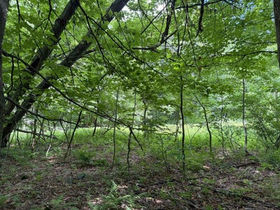 /international/us/80-soules-hill-road-jay-me-110108853634/