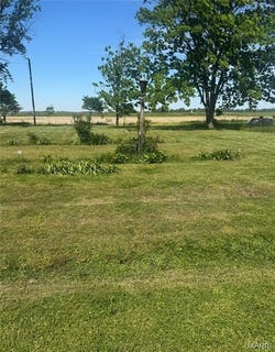 /international/us/12163-lambus-essex-mo-110107777531/