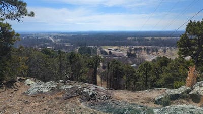/international/us/ridge-drive-lot-0-dardanelle-ar-110104028377/
