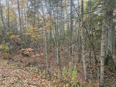 /international/us/w-cider-mill-lane-lot-9-16c-swanville-me-110120722654/