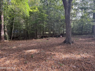 /international/us/124-maple-lane-lot-34-35-blounts-creek-al-110120128336/