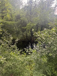 /international/us/19289-upland-street-elk-river-mn-110100566289/?lang=zh-cn