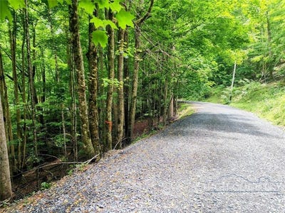 /international/us/139-raccoon-road-beech-mountain-nc-110108347049/