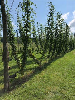 /international/us/168-watson-creek-road-lindley-ny-110106467704/