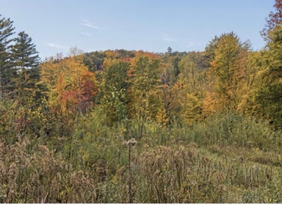 /international/us/jericho-road-richmond-vt-110120422531/