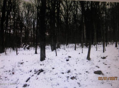 /international/us/193-rim-rock-circle-hawley-pa-110064018189/?lang=zh-cn