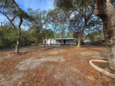 /international/us/43541-dixie-drive-paisley-fl-110105201588/