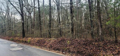 /international/us/smith-road-lot-3-rison-ar-110106921798/