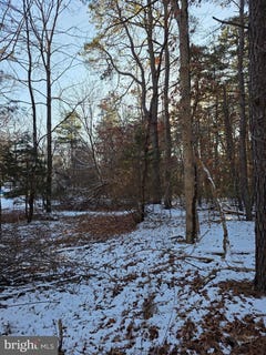 /international/us/payson-chesilhurst-nj-110105044243/