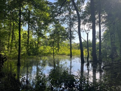 /international/us/hwy-28-jonesville-la-110109398822/