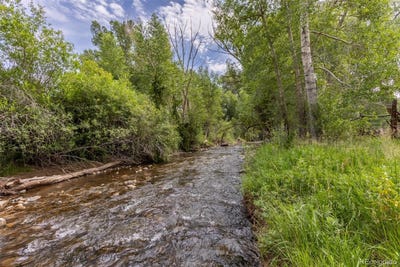 /international/us/7080-county-road-110-salida-co-110101201380/?lang=fr