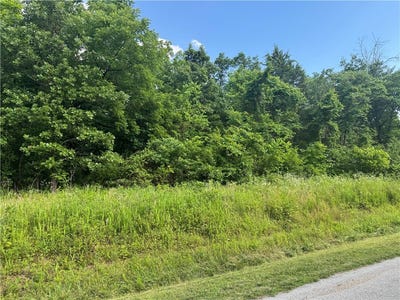 /international/us/rountree-lane-lot-17-bella-vista-ar-110108445646/