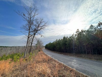 /international/us/01-bates-road-haleyville-al-110104406685/