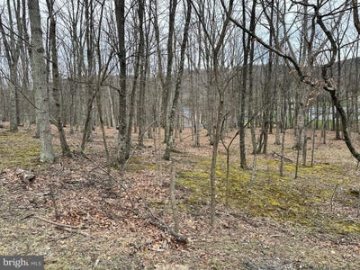 /international/us/timberlake-estates-lot-37-new-creek-wv-110098964695/