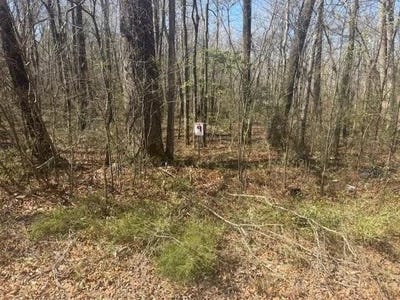 /international/us/tract-9-22a-hwy-lot-9-jacks-creek-tn-110120510800/