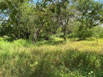 /international/us/14135-county-road-1144-sinton-tx-110086253418/?lang=zh-cn