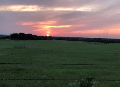 /international/us/2110-county-road-362-desdemona-tx-110109213086/