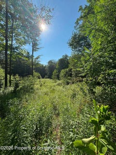 /international/us/745-marion-street-forest-city-pa-110109437822/