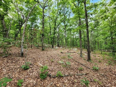 /international/us/4-tbd-bear-creek-40-acres-talihina-ok-110100816275/
