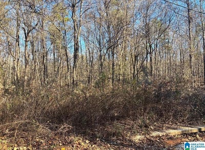 /international/us/449-davis-street-lot-20-wilsonville-al-110104478393/