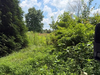 /international/us/123-oaks-rd-columbia-ky-110109511216/
