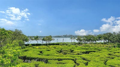 /international/us/826-bayport-way-longboat-key-fl-110093676113/?lang=zh-cn