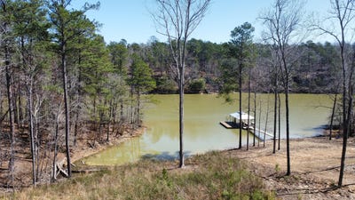 /international/us/lot-25-shoreside-at-sipsey-double-springs-al-110108467627/