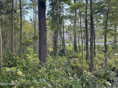 /international/us/318-megan-loop-s-lot-38-hertford-nc-110120607567/