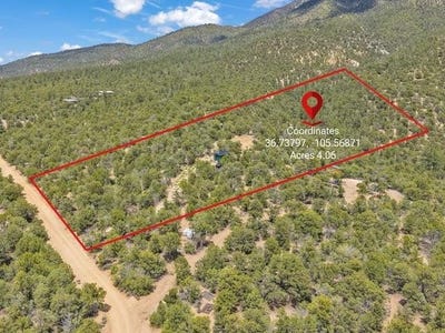 /international/us/lot-85-upper-pinabete-road-questa-nm-110100634564/