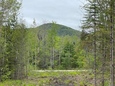 /international/us/misty-lane-brownfield-me-110107811296/