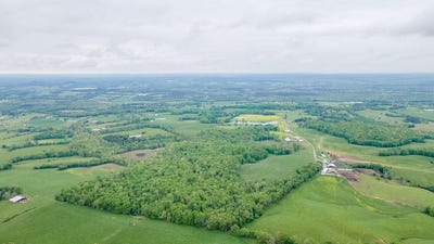 /international/us/1711-bradley-wyatt-road-pikeville-tn-110100199798/