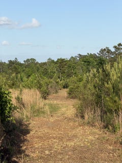 /international/us/5-acres-mt-bethel-rd-sandy-hook-ms-110107997571/